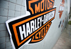 Harley 2010-2011